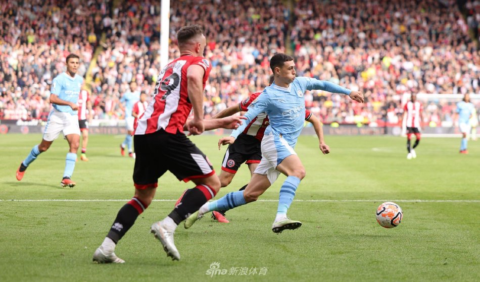 是职业运动 是职业运动